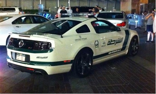 Exotic Dubai Police Force's Fleet of Supercars - Ford Mustang GT  - 2