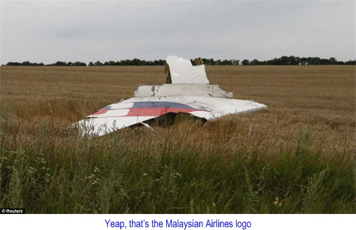 Malaysian Flight MH17 Shot Down - Wreckage with Malaysian Flag 2