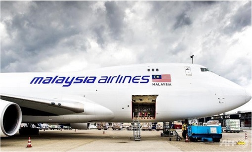 Malaysian Flight MH17 Victims Return Home - Special Flight MH6129 Door Open