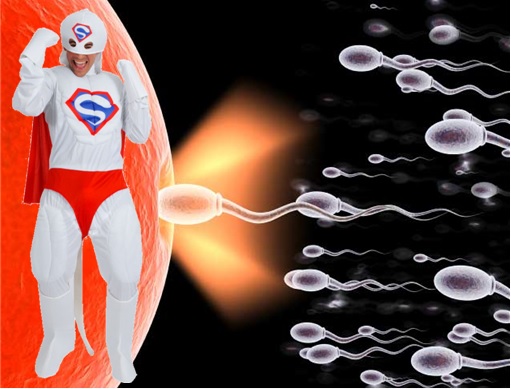 Anwar Sodomy Busted - Anwar's Super-Sperm