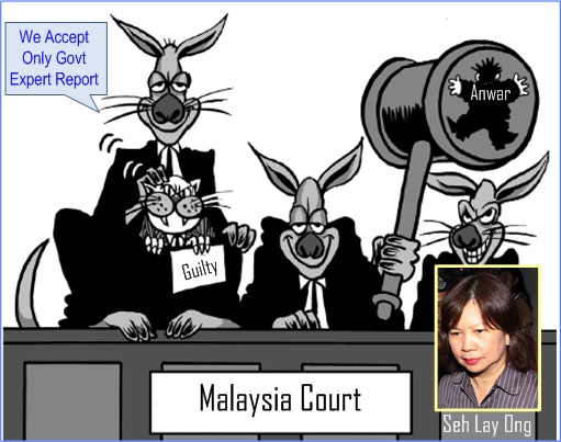 Anwar Sodomy Busted - Selective Recognition Of Reports