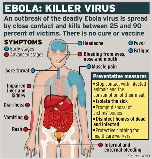 Ebola Virus - Symtoms And Preventive