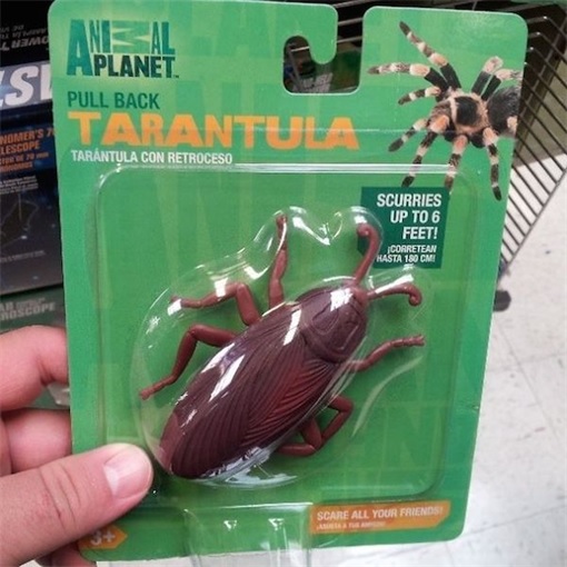 Product Packaging Fails - Tarantula Cockroach