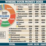 UK's New Transparency - Pie Chart Statement On Taxpayers Money Spending