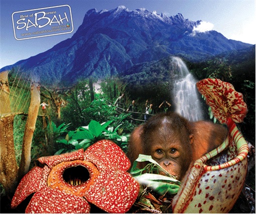 Sabah - Best of Borneo