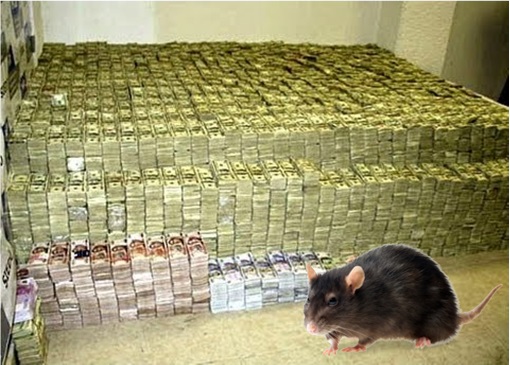 Pablo Escobar - Rats Ate Money
