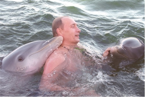 Putin Swimming with Dolphins