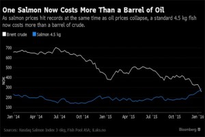 One Salmon Worth More Than One Barrel of Oil - Chart