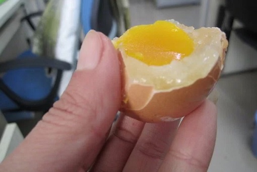 China Fake Eggs - Holding A Sample