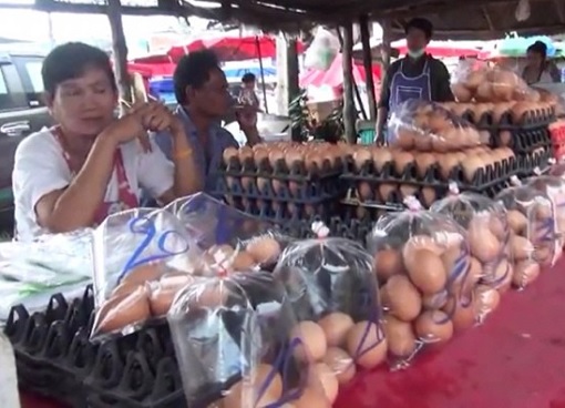 China Fake Eggs - Thailand Selling Fake Eggs in Plastic Bag