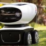 New Zealand - First Country To Have Domino's Pizza Delivery Robot