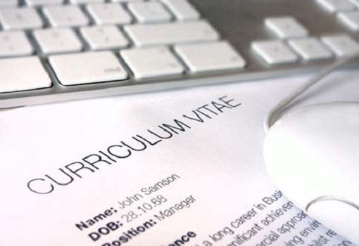 Job Interview - CV Curriculum Vitae