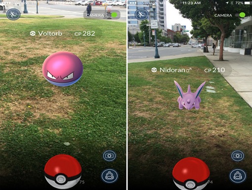 Pokémon GO - Pokemon Mobile Game - Catching Pokemon and Egg