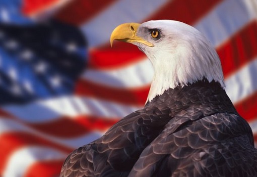 United States Eagle As Emblem Crest