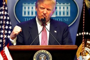 president-donald-trump-triumph-expression