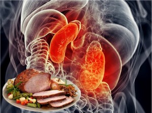 Human Organ Transplant - Transparent Parts with Roast Pork