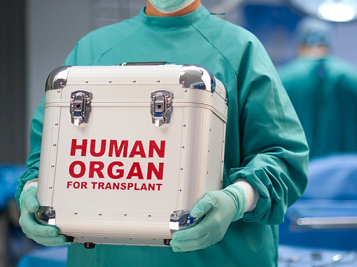 Human Organ Transplant