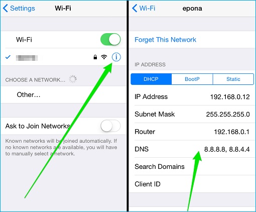 Change DNS Setting on Apple iOS Phone