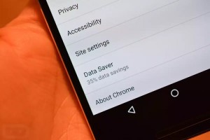 Enable Data Safer Feature on Chrome Browser