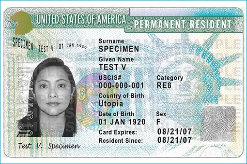 United States Green Card - Sample