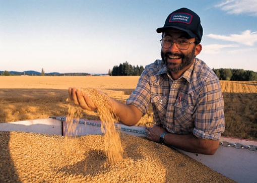 American Soybeans Farmer