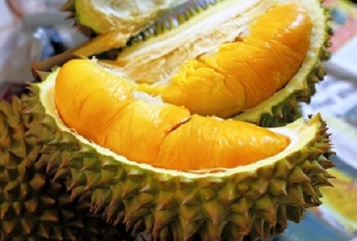 Durian Musang King