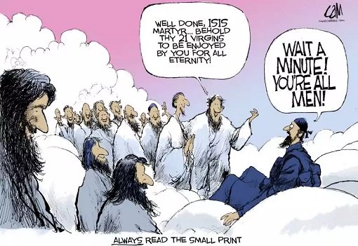 Islam and 72 Virgins - Cartoon