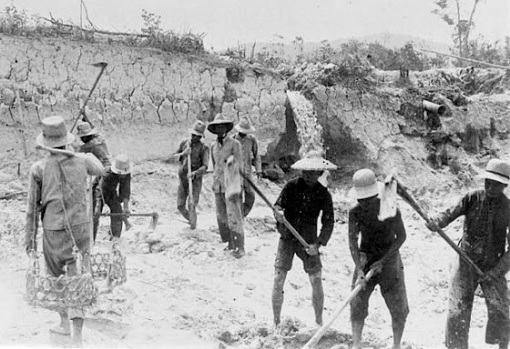 Chinese Migrants Coolies Working