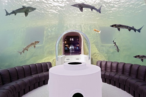 Chateau Louis XIV France - Underwater Room