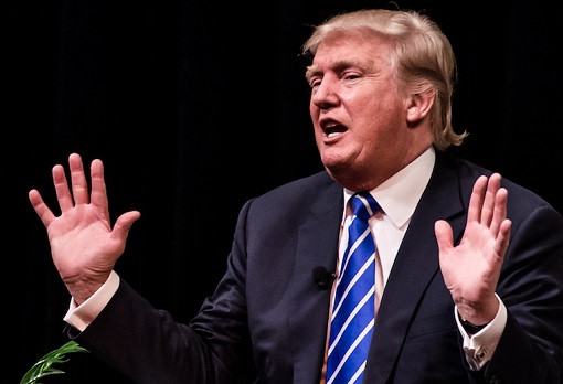 Donald Trump Did Not Want To Be President