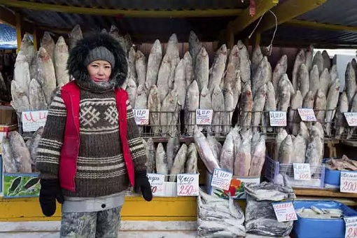 Extreme Temperature - Cold at Yakutsk - Russia - Selling Raw Fish