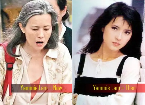 Yammie Lam – Former Hong Kong Actress - Then and Now Photo