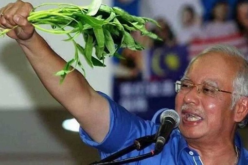 Najib Razak Holding Kangkung - Water Spinach