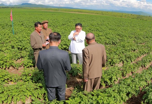 Kim Jong Un Inspects Potato Plants in Samjiyon County - Talking To Officers
