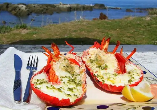 Food - Crayfish in Kaikoura, New Zealand