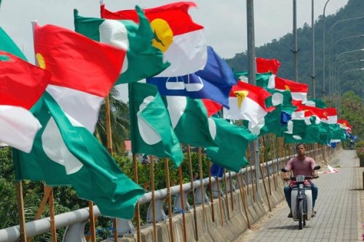 UMNO and PAS Coalition - Flags