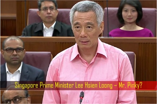 Singapore Prime Minister Lee Hsien Loong – Mr. Pinky