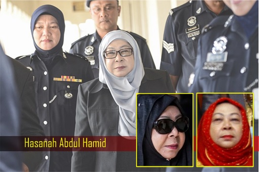 Hasanah Abdul Hamid – MEIO Director General 4