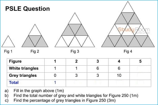 Singapore 2019 PSLE Maths Difficult Question - 1