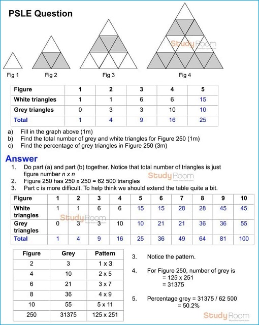Singapore 2019 PSLE Maths Difficult Question and Answer - 1