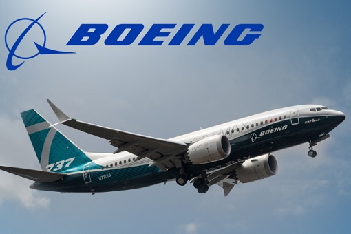 Boeing 737 MAX - In The Sky