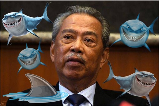Muhyiddin Yassin - Surrounded By Sharks