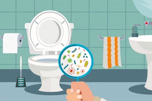 Toilet - Germs, Bacteria, Virus