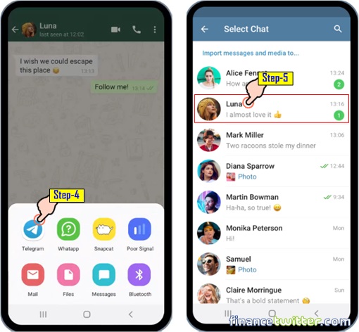 How To Move, Transfer, Import, Migrate Chat Message From WhatsApp To Telegram on Android - Step 4 and 5