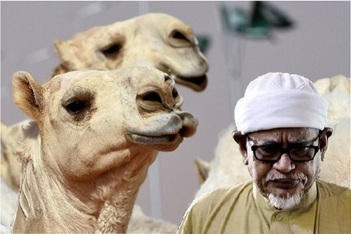 Hadi Awang - Special Envoy To Middle East - Camel