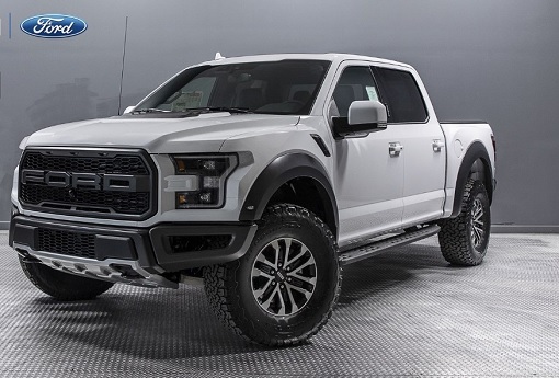 F-150 Pickup Truck