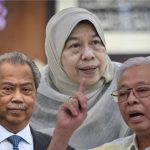 Turtle Egg PM Ismail Might Retain Zuraida As Minister - Muhyiddin Has No Button To Press As He Struggles With His Sinking Ship