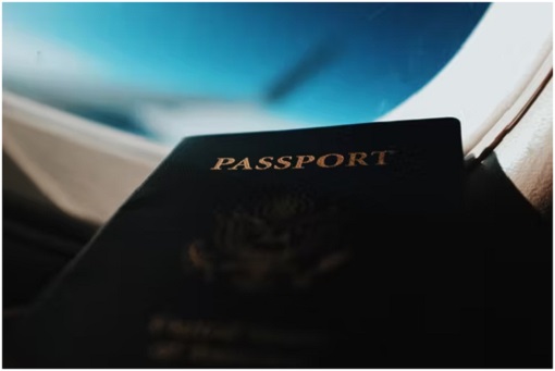 The Economic and Lifestyle Benefits of Citizenship by Investment - Passport