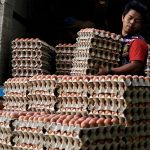 Chicken Eggs Shortage - Why Prices Of Everything Will Skyrocket If UMNO Wins The General Election