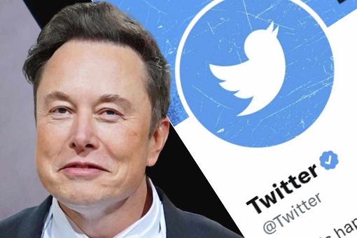 Elon Musk - Twitter Blue Subscription